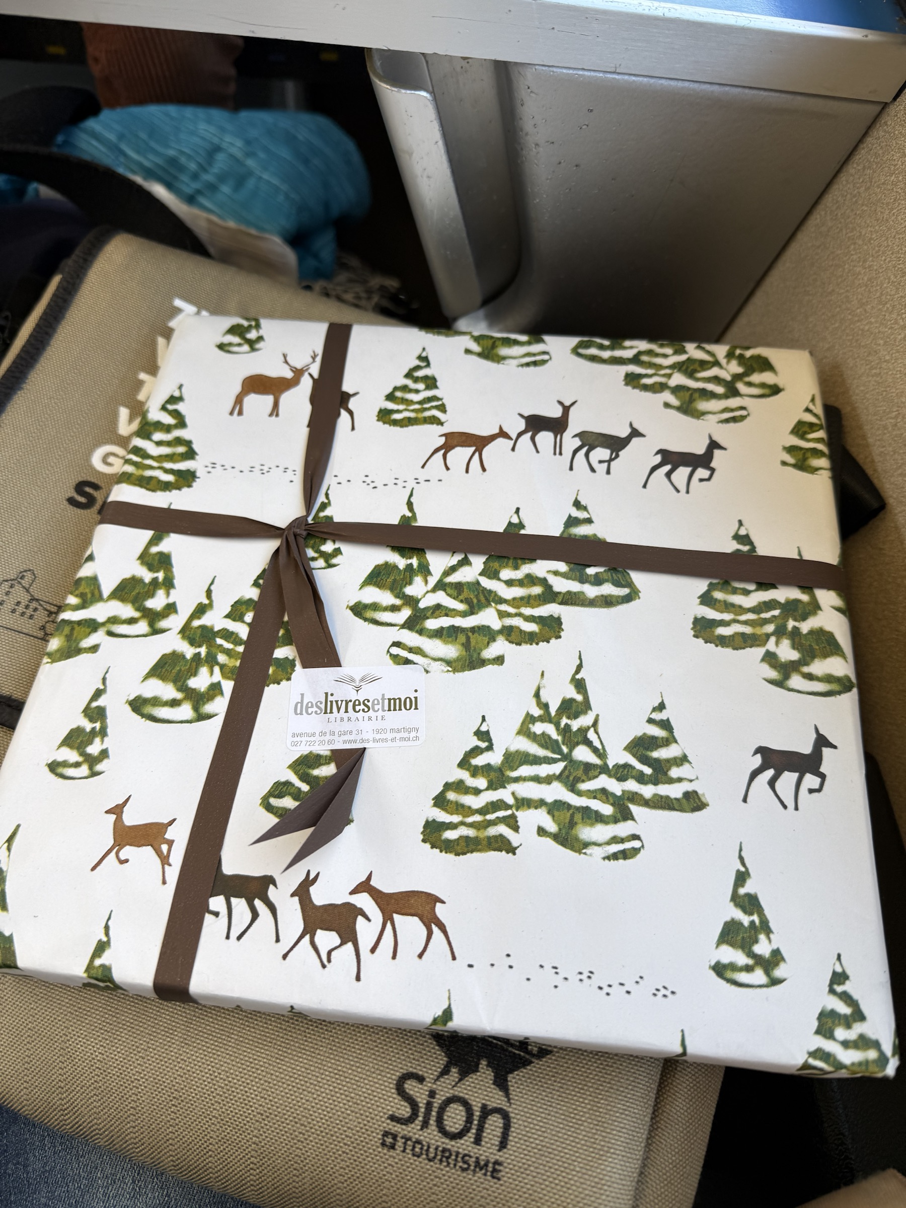 Sion travel photograph 17